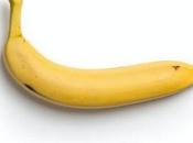 Steps Prepare Tasty Banana Milkshake?