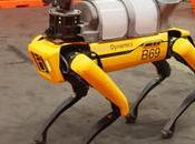 Robotic Dogs Visiting COVID-19 Patients Treat Them Remotely