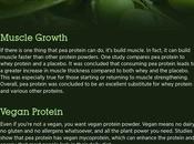 Benefits Protein Powder