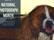 National Photograph Month: Want Your Featured?