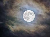 Best Werewolf Shows Movies Worth Watching Next Full Moon