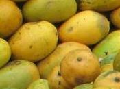 Covid Times Delhi 'aam' ............. Street 'aadmis' Story