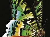 Generator Void Vator Covering QUEEN Release Coming July 24th