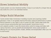 Ways Casein Protein Powder Supplements