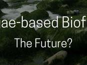 Pros Cons Algae-Based Biofuel