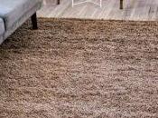 Best Brown Carpet 2020