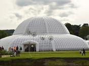 Chatsworth Flower Show