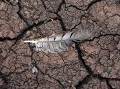 Analysis Reveals Down 24th Spot World Environmental Performance