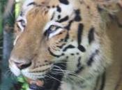 POEMS: Worlds, Real Imagined