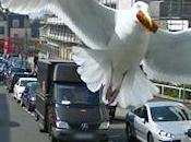 Most Outrageous Pranks Played Google