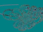 Your Wedding Hair Accessories from Rainbow Club