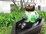 Benevolent Bears Burlington