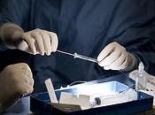 Japanese Team Creates Functioning Liver from Stem Cells