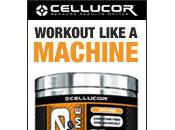 N-Zero Extreme First Time Review