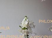 Wedding Planning Work?