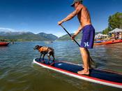 with Fido: Tips Active Summer Your