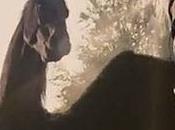 Coolest Mystical Animals Movies Television