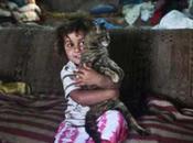 Israeli Palestinian Scientists Finger Cats Culprits Gaza Superbug Spread