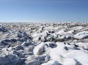 Greenland's Beautiful Landscapes