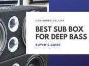 Best Subwoofer Design Deep Bass Buyer’s Guide