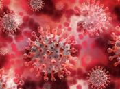 What When Someone Your House COVID