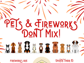 Firework Safety: Keep Your Safe Canada