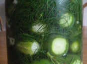 MindBlog's Half-sour Pickle Recipe