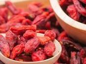 Amazing Goji Berries Health Benefits