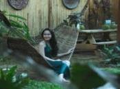 Unique Types Garden Sheds Your Backyard