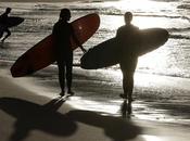 Surfer Killed Shark Australia