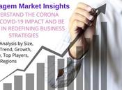 Rich Communication Services Market Recent Changes Developments Market, Risk Analysis Growth Drivers 2027 Alcatel-Lucent, Ericsson, Interop Technologies