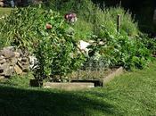 Making Garden