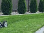 Reasons Hire Landscaping Company Chilliwack Abbotsford