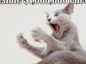 Most Stupid Thieves Ever Caught