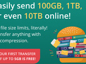 FileWhopper: Transfer Files Folders Size