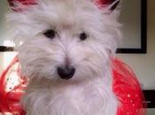 Most Interesting Versions Hell From Ancient Religions