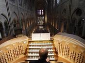 Cleaning Organs Notre-Dame Paris Begins
