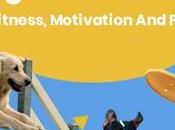 Exercise App: Fitness, Motivation