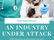 Real Talk: Does Veterinary Hospital Have Your Pet?