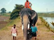 World Elephant Chirakkal Kalidasan