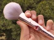 Wild Brush Line Large Powder Review