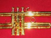 Mix-and-match Trumpet Kit: 49,252 Trumpets Yours [anxiety]