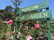 MORCOM ROSE GARDEN, Oakland, Refreshing Retreat