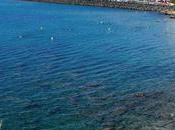 d’Agde Nudist Coronavirus Outbreak: Third People Tested Resort Have Covid-19