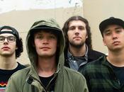 Ripple Conversation With Stone