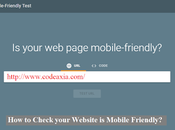 Check Your Website Mobile Friendly?