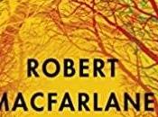 August 2020 Round-Up Book Lover’s Boudoir