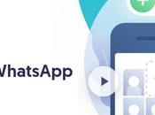 Transfer Whatsapp Data Between iPhone Android With Tenorshare iCareFone