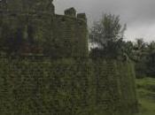 POEM: Unceasing Jungle