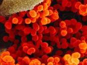 September Coronavirus News